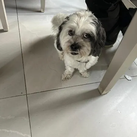 1 Luxurious In Family Cill Airne