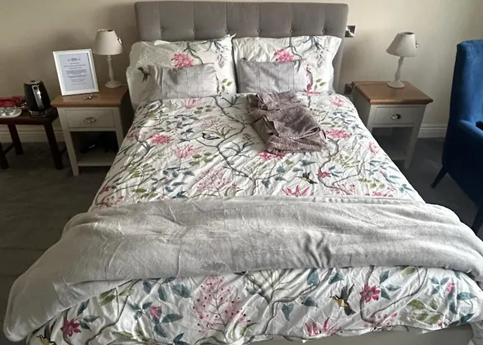 ホームステイ 1 Luxurious In Family キラーニー